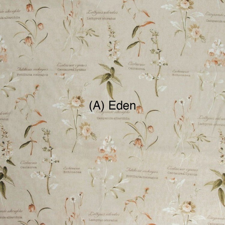 (A) Eden 1