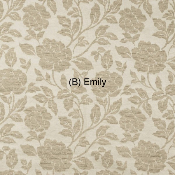 (B) Emily 1