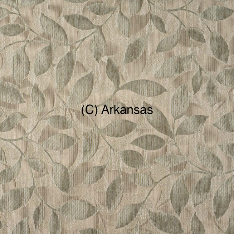 (C) Arkansas 1